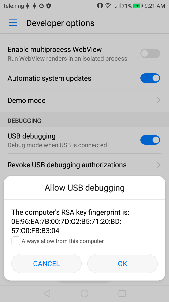Abb. 1. allow usb debugging fingerprint